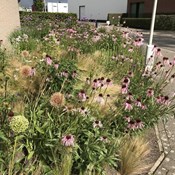 Showtuin Aartselaar overzicht zomer Showtuin rreac04 Publiek Aartselaar overzicht zomer